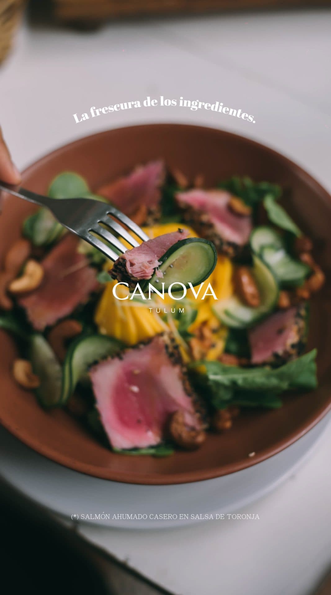 CANOVA cantina